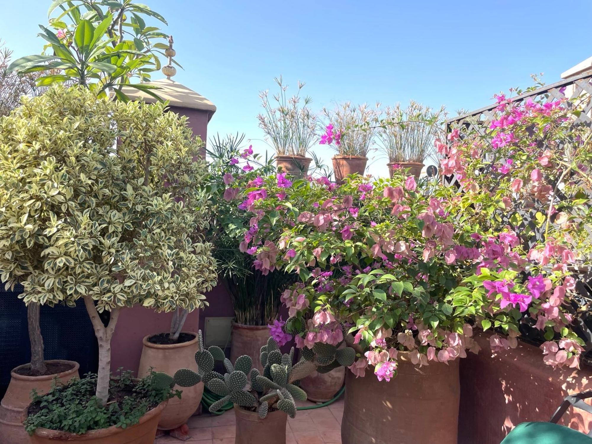 Riad Dar Al Assad Marrakesh Exteriör bild
